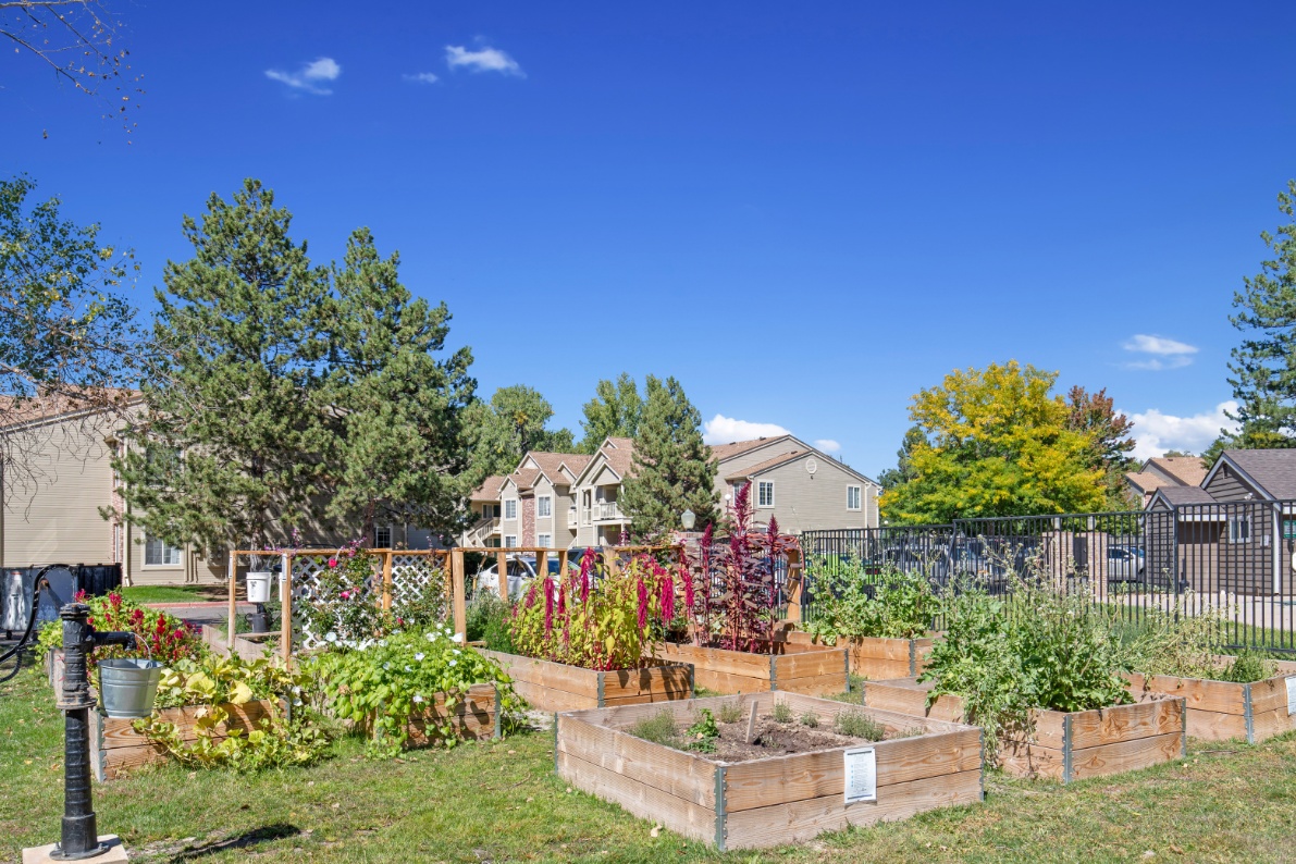 Community garden at The Alpine
