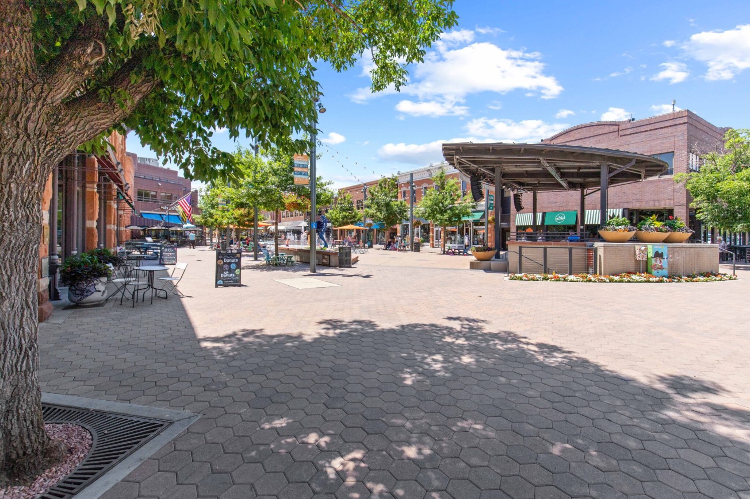 Downtown Fort Collins