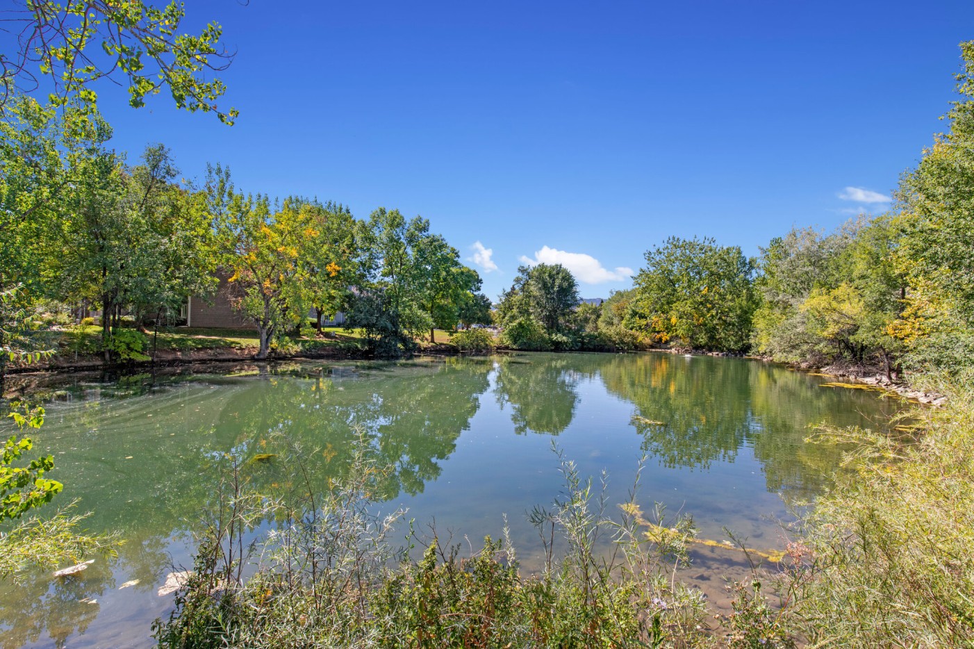 Views of the pond at The Alpine